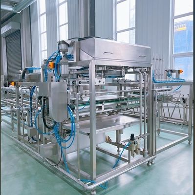 Máquina automática de cortar e encasar feijão para produção de tofu