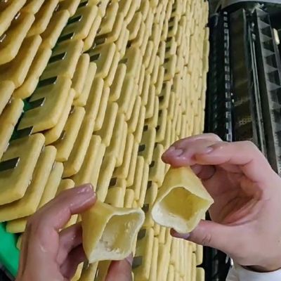 Máquina de fazer tofu comercial e linha de produção de sacos de sorte para restaurantes